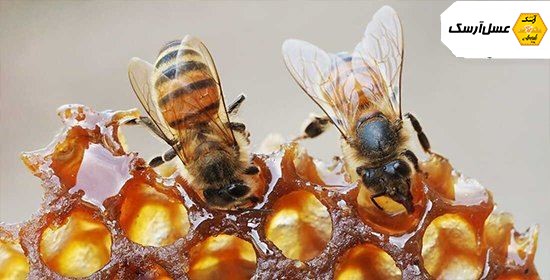 خرید عسل