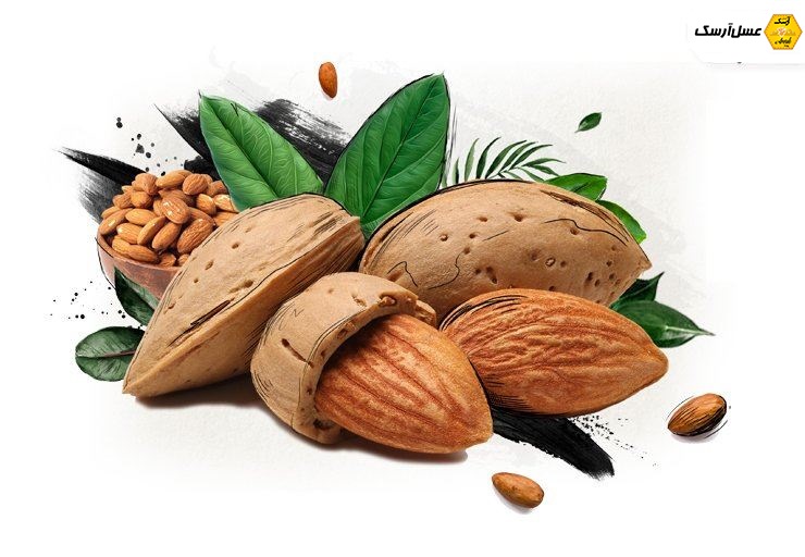 بادام سنگی