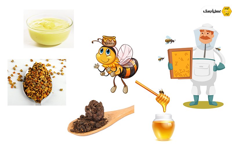 فرآورده های مهم زنبورعسل